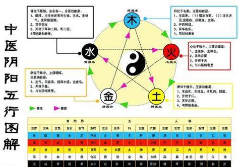 金生水個性|金生水的性格特質